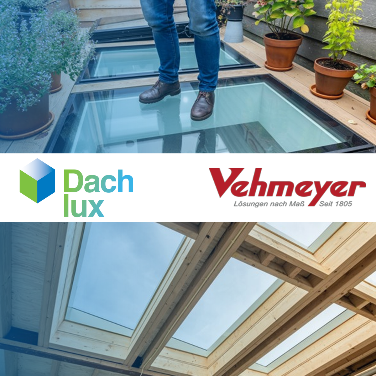 Dachlux und Vehmeyer